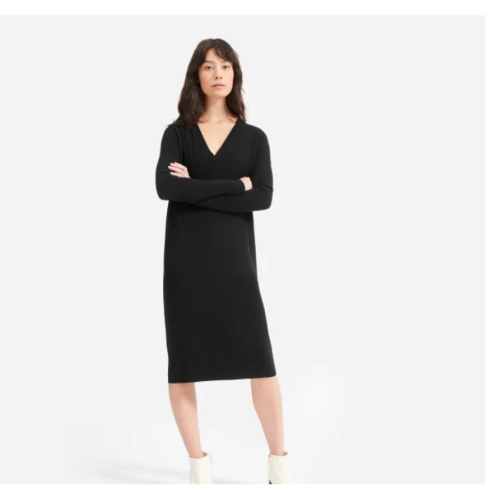 Everlane Cashmere Sweater Dress